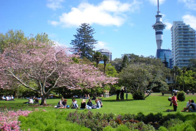 Glimpse of Spring as NZ Housing Market Turns